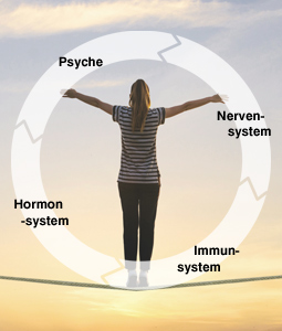 Fibromyalgie Homöopathie Spezialist Heilbronn Naturheilkunde